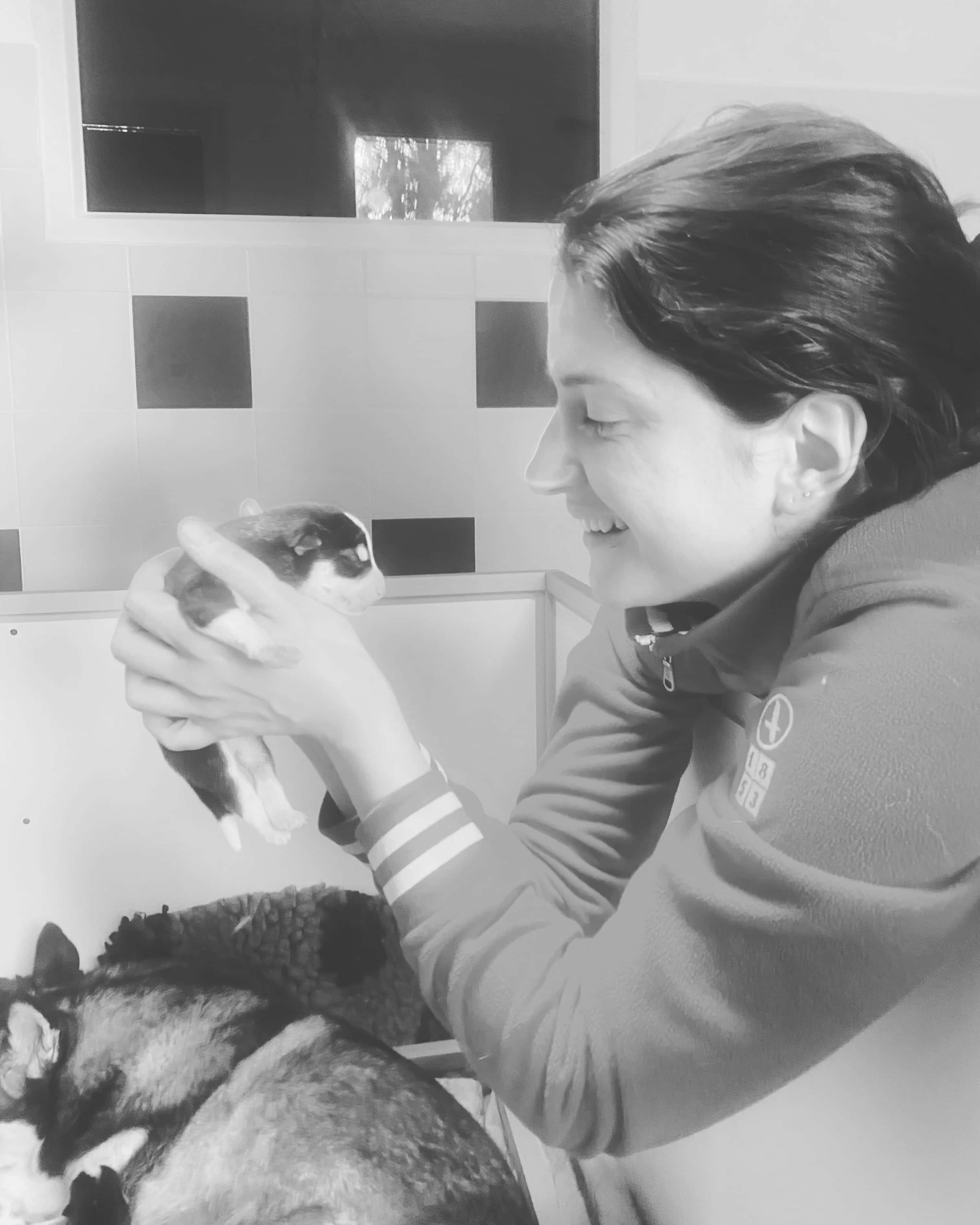 Marine avec un Pomsky sur une chaise