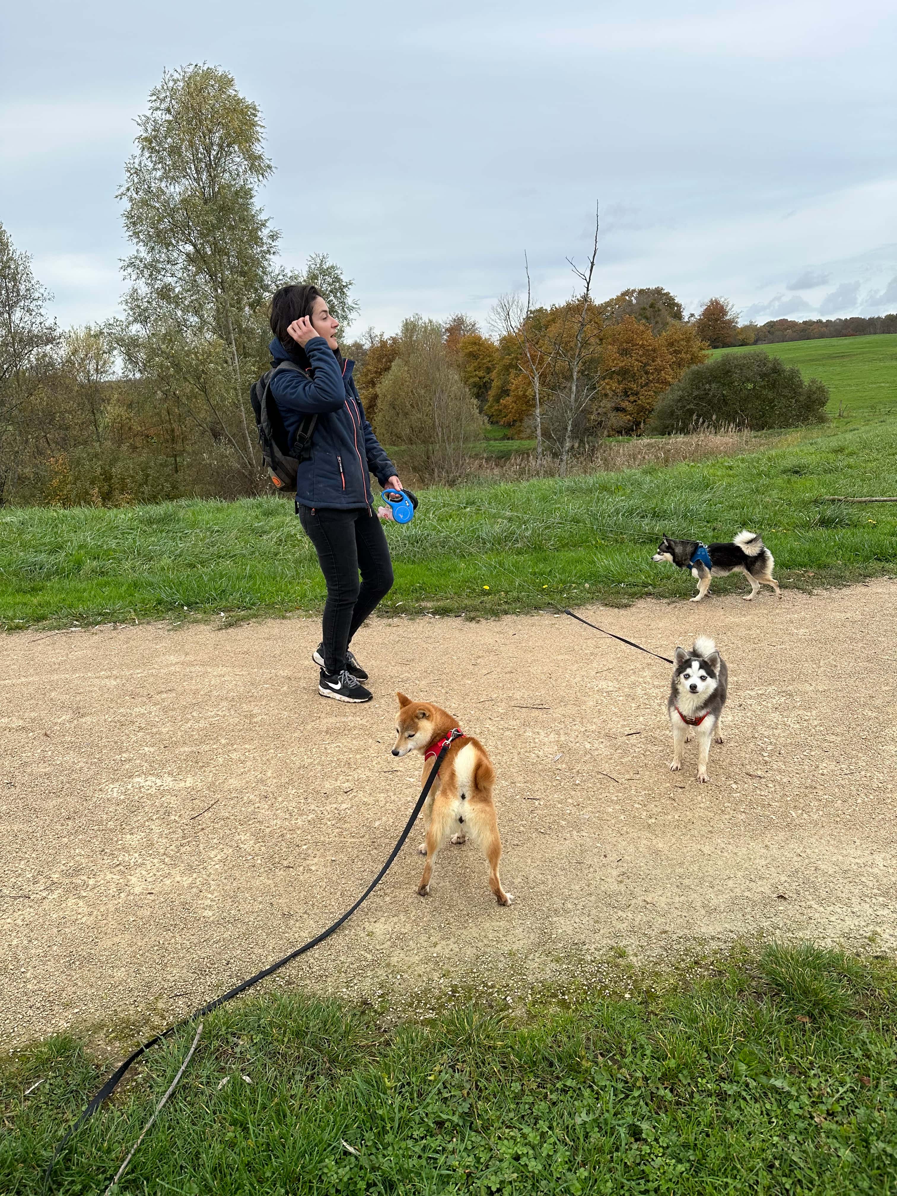 Marine en promenade des chiens