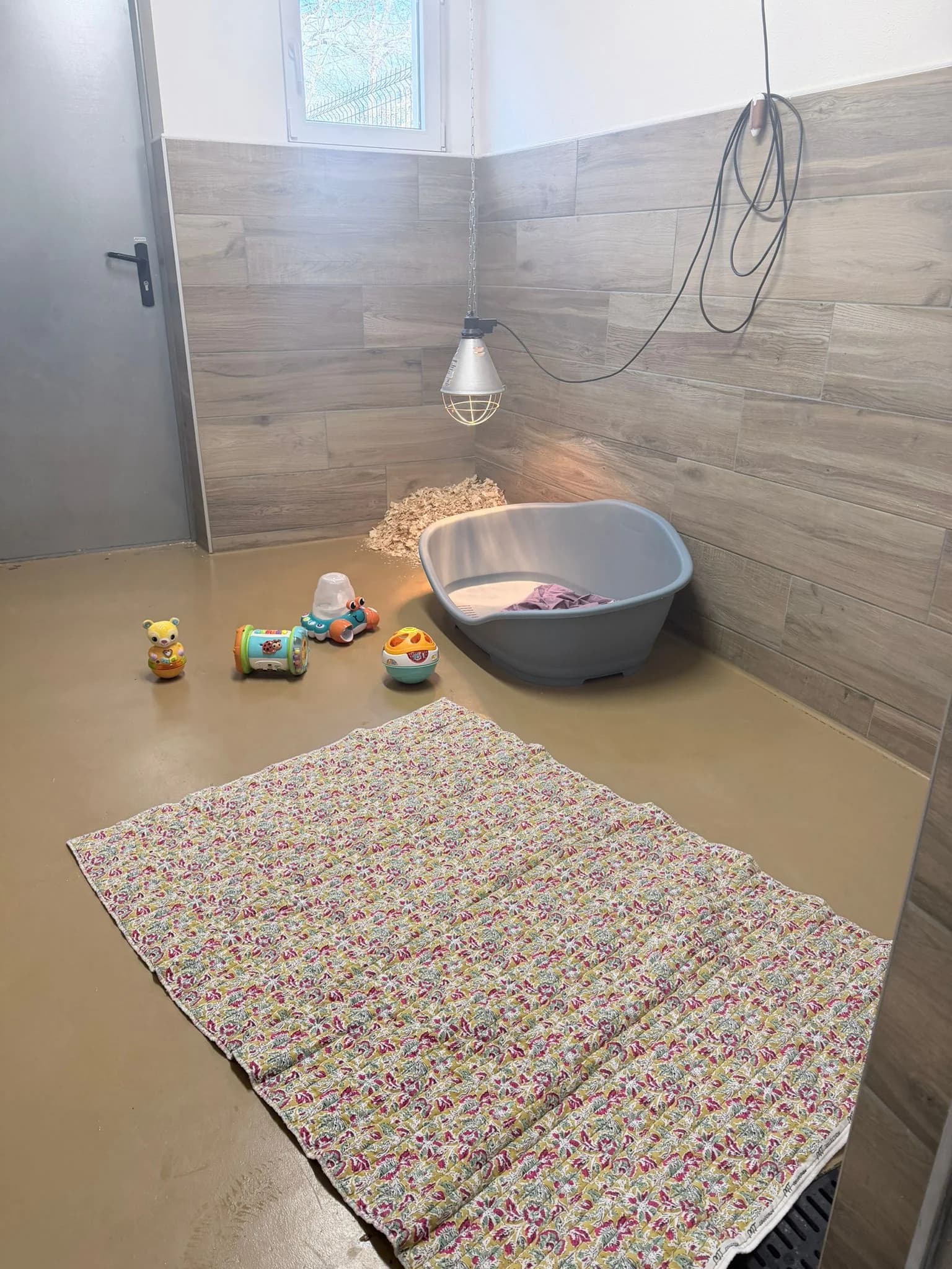 Chiot pomsky dans un panier prêt pour une arrivée douce dans sa nouvelle famille