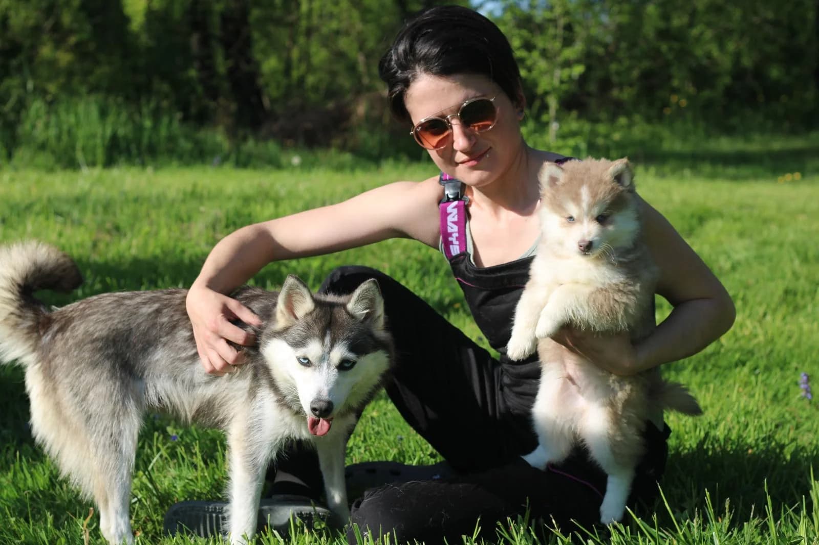 Carrousel d'images des chiots avec leurs mamans et Marine l'éleveuse - photo 1