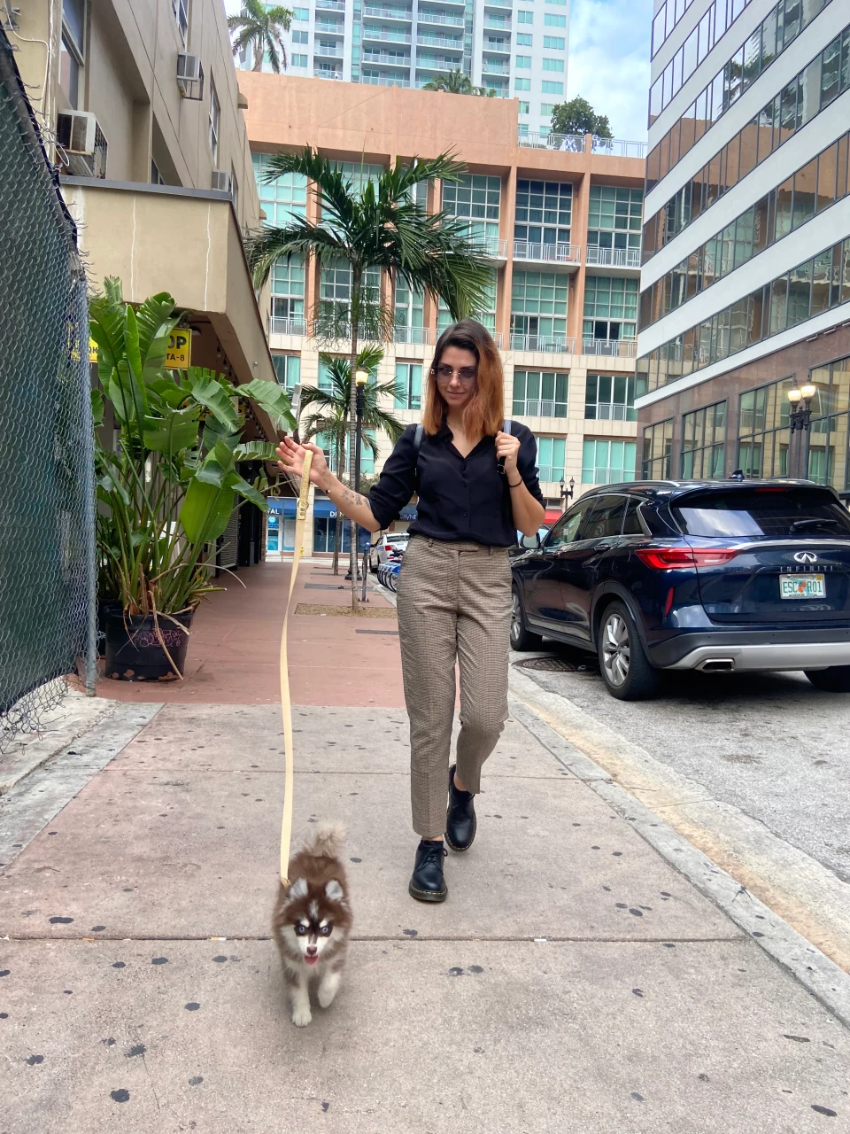 Aurélie promenant un Pomsky dans la rue