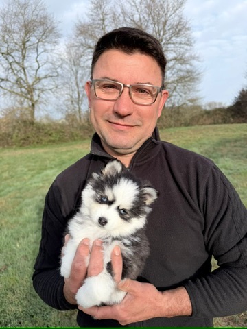 Jérôme, éleveur de Royal Pomsky, au quotidien avec les chiens