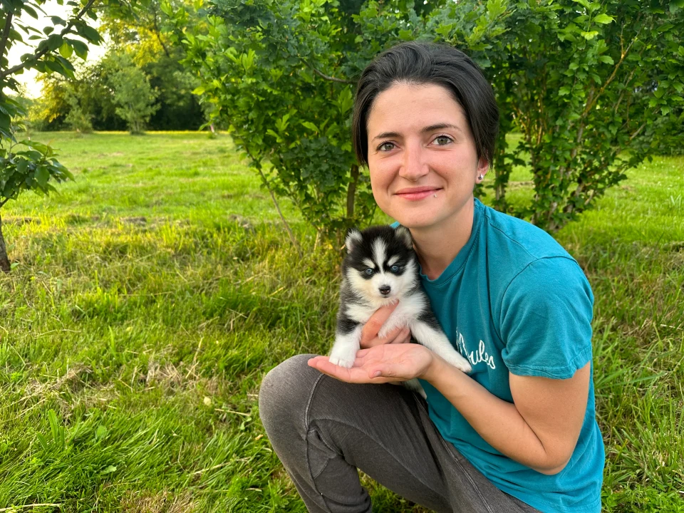 Marine avec un Pomsky dans l'herbe