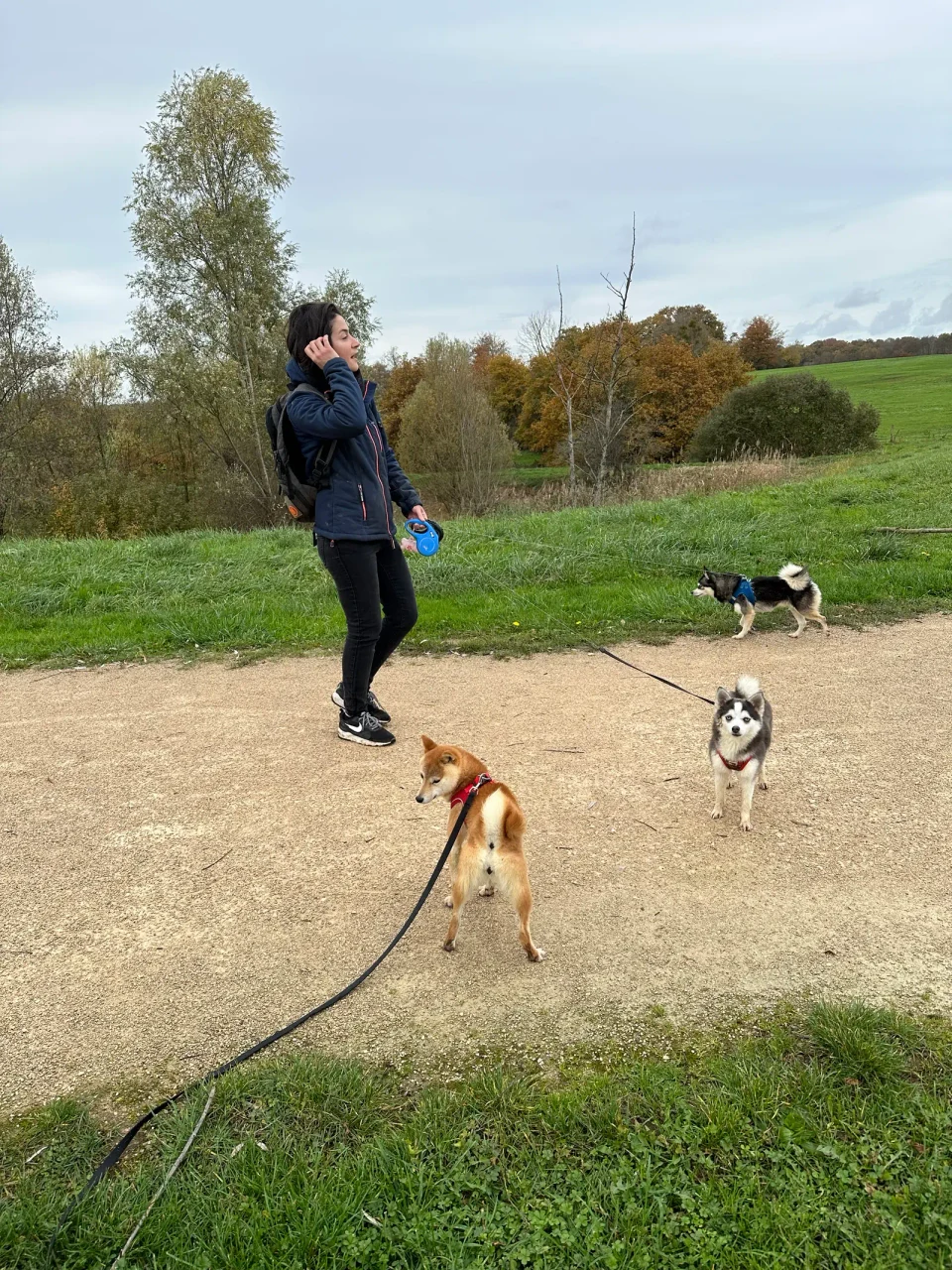 Marine en promenade avec les chiens de l'élevage