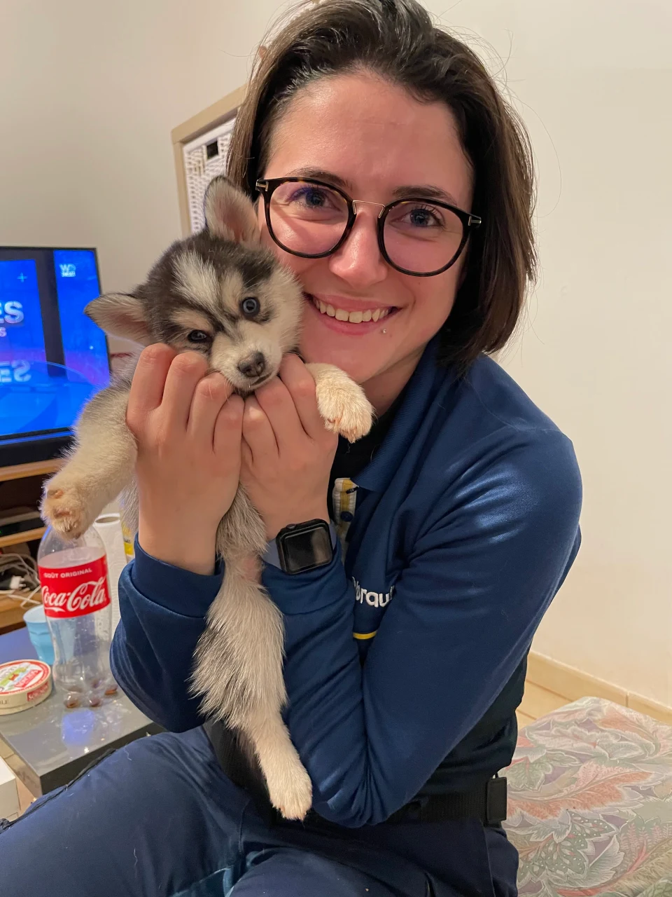 Marine avec un Pomsky de l'élevage Royal POMSKY