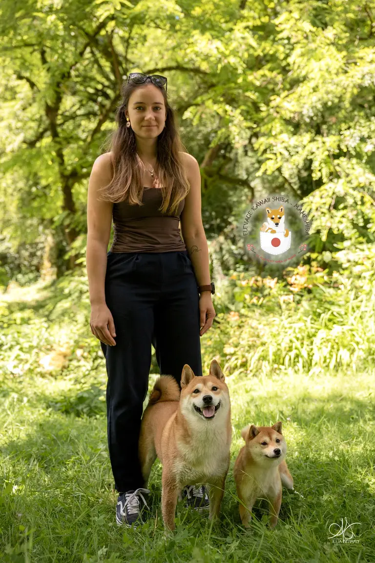 Cloé avec un Mameshiba et un Shiba de Kawaii Shiba