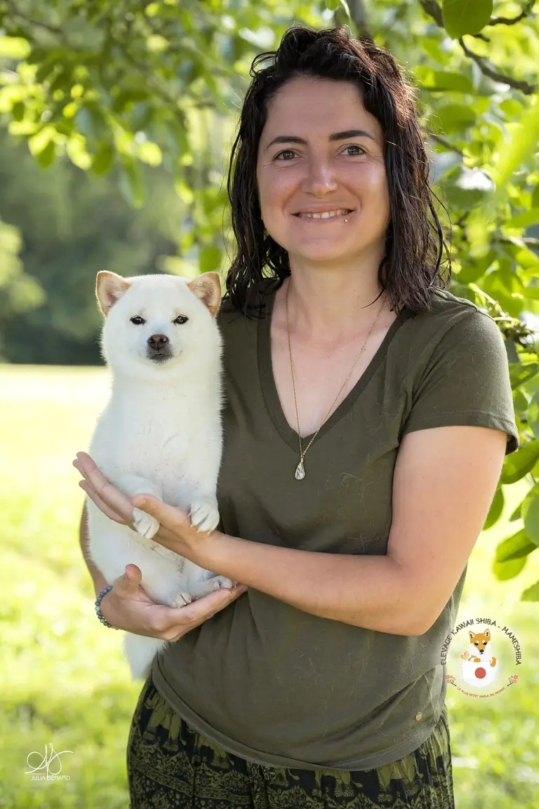 Marine avec un Mameshiba de Kawaii Shiba