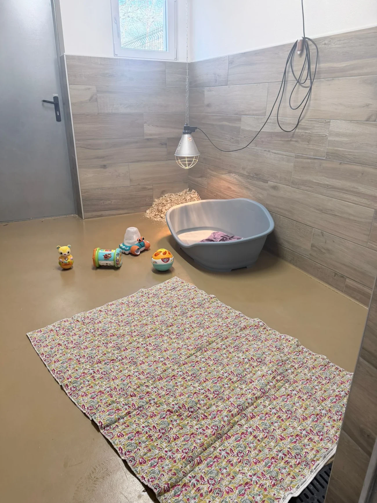 Chiot Pomsky dans un panier, prêt pour un départ en douceur
