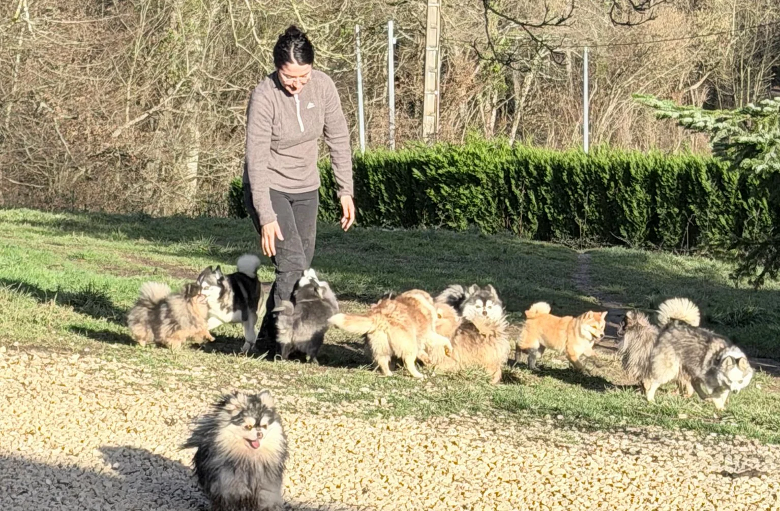 Image de la page Bien-être animal