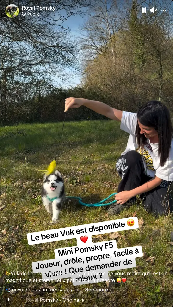 Aperçu du reel Facebook montrant Vuk et Marine dans le parc de Royal POMSKY