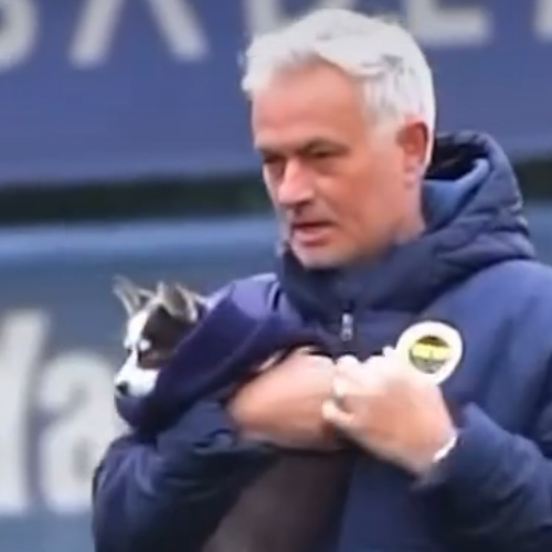 Jose Mourinho avec Anyblue, un Pomsky F5 de l'élevage Royal POMSKY